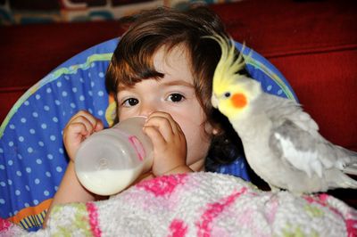 Portrait of a baby drinking milk with her bird