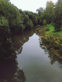 Scenic view of lake in forest against sky