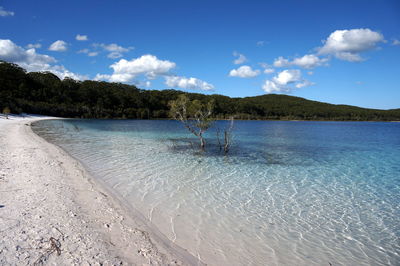 Scenic view of sea against blue sky