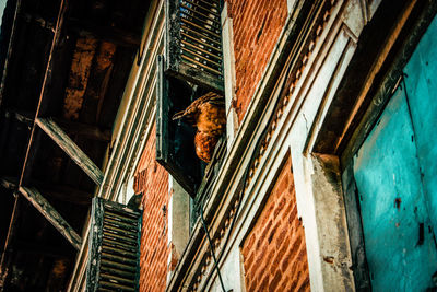 Low angle view of cat on old building