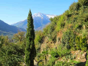 Scenic view of trees and mountains against sky