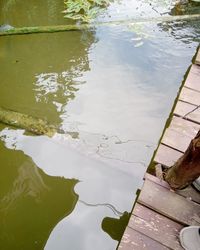 High angle view of a lake