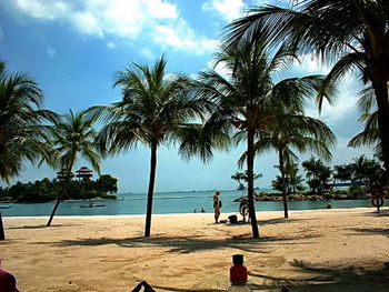 Palm trees on beach