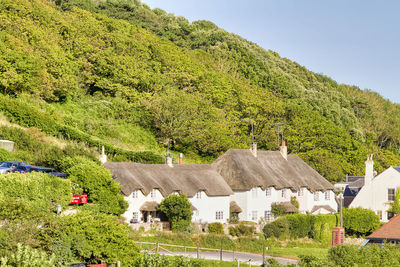 Scenic view of trees and houses against sky