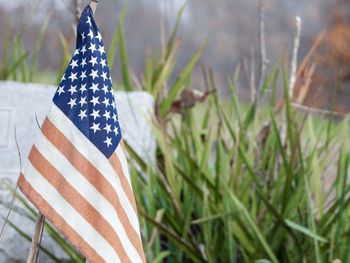 Close-up of flag against plants on field