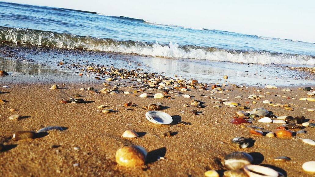 beach, shore, sand, sea, water, pebble, horizon over water, surface level, stone - object, tranquility, nature, tranquil scene, beauty in nature, scenics, sky, seashell, abundance, day, coastline, outdoors