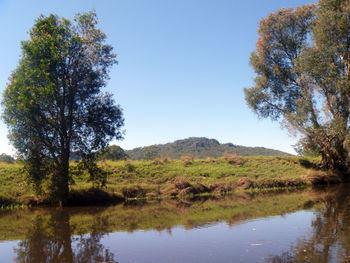 Scenic view of lake against clear sky