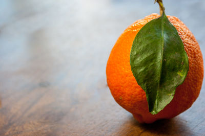 Close-up of orange fruit on table
