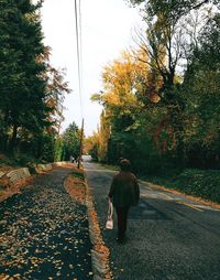 Rear view of person walking on footpath during autumn