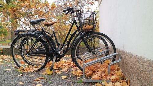 Bicycle parked by tree on field