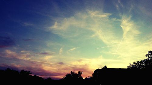 Silhouette of trees at sunset