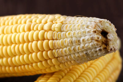 Close-up of fresh corns