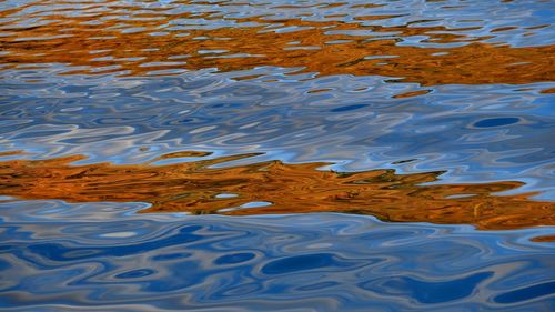 High angle view of swimming in lake