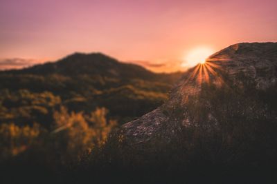 Close-up of lizard against mountain during sunset