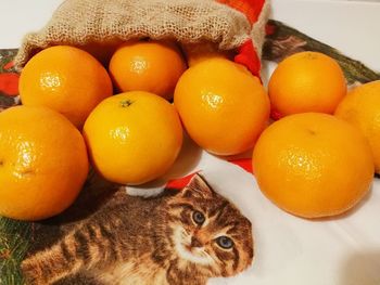 High angle view of orange fruit