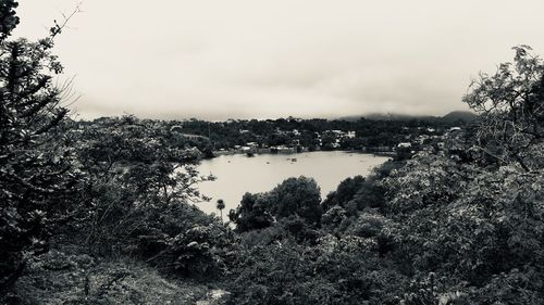 Scenic view of river in forest against sky