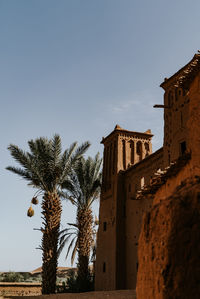 Low angle view of palm tree and building against sky