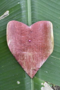 High angle view of heart shape on pink leaf