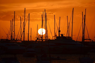 Sailboats in marina at sunset