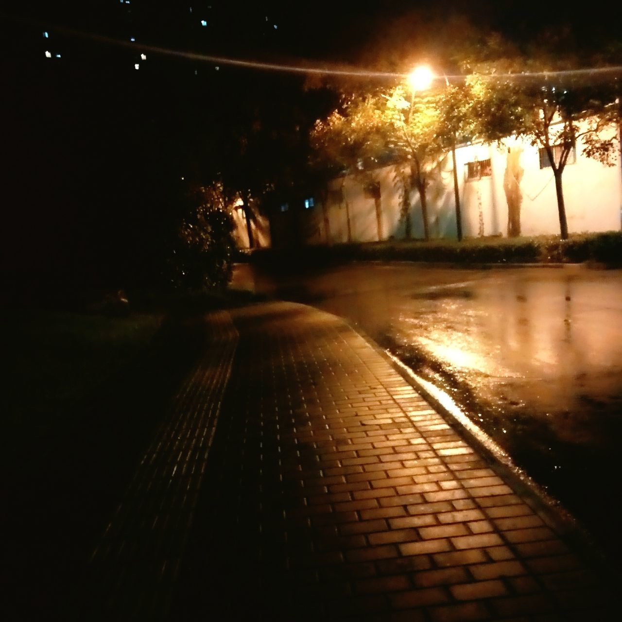 night, illuminated, reflection, no people, tree, water, outdoors, architecture, building exterior