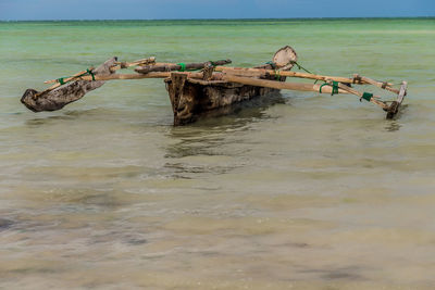 Driftwood in sea