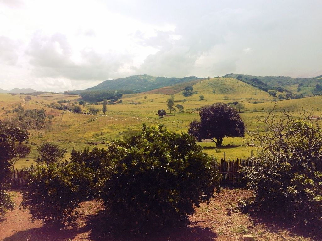 sky, tranquil scene, tranquility, landscape, beauty in nature, scenics, growth, nature, field, tree, cloud - sky, mountain, plant, rural scene, cloud, agriculture, non-urban scene, day, outdoors, no people