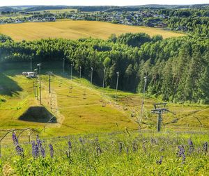 Scenic view of agricultural field