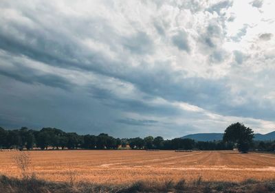 Scenic view of field against sky