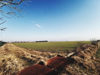 Scenic view of agricultural field against clear sky