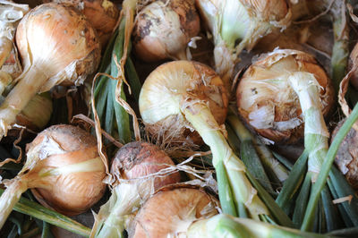 Full frame shot of vegetables for sale