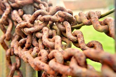 Close-up of rusty chain