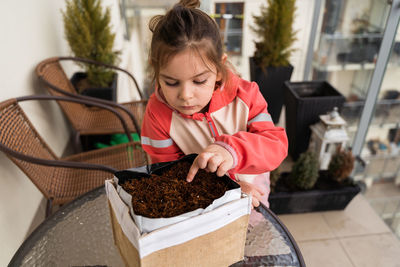 Portrait of boy playing with potted plant