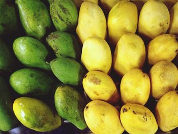 Full frame shot of lemons