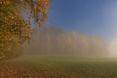 Trees on field against sky during autumn