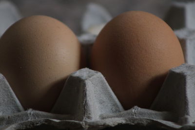 Close-up of two eggs in a carton