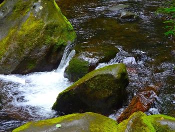 Stream flowing through rocks