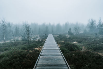 Boardwalk amidst trees against sky