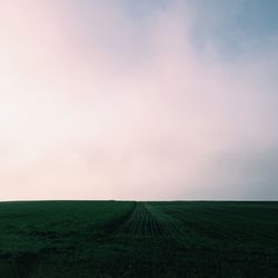 Scenic view of grassy field against sky