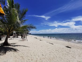 Palm trees on beach against sky