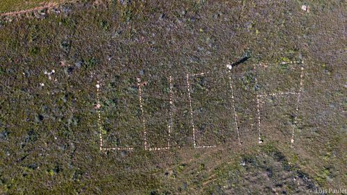 High angle view of bird flying over land