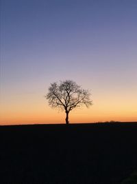 Silhouette bare tree on field against clear sky at sunset