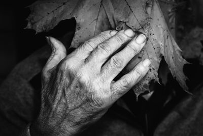 Cropped hand touching leaf at night