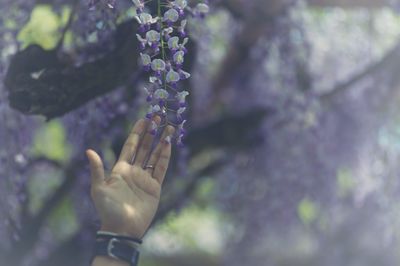 Close-up of hand holding flower