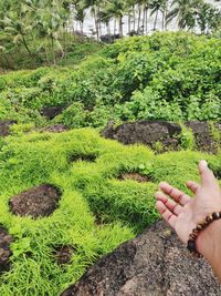 Midsection of person against plants