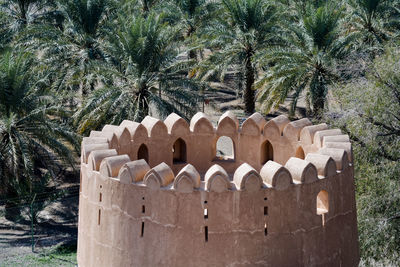 View of palm trees on field