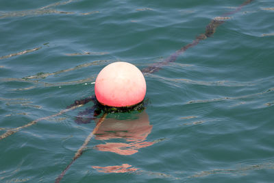 High angle view of buoy floating on sea