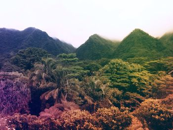 Scenic view of mountains against clear sky