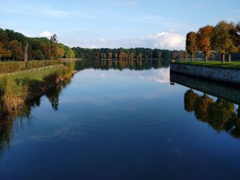 Reflection of trees in calm lake