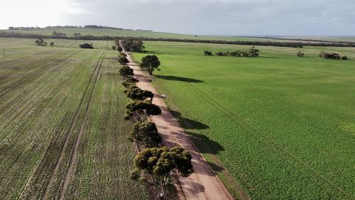 Scenic view of agricultural field against sky