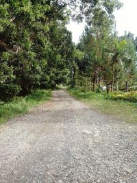 View of trees on landscape against sky